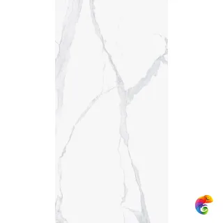 I CLASSICI STATUARIO SOFT.60x120 RET