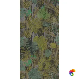 W&S D+ FOREST A 120X240