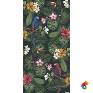 W&S D+ RAIN FOREST 120X240