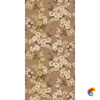 W&S D+ SAKURA  120x240