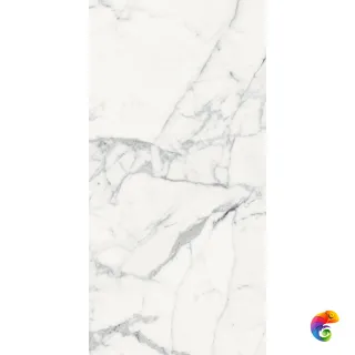 LES ORIGINES DE REX BLANC GLOSSY 60X120