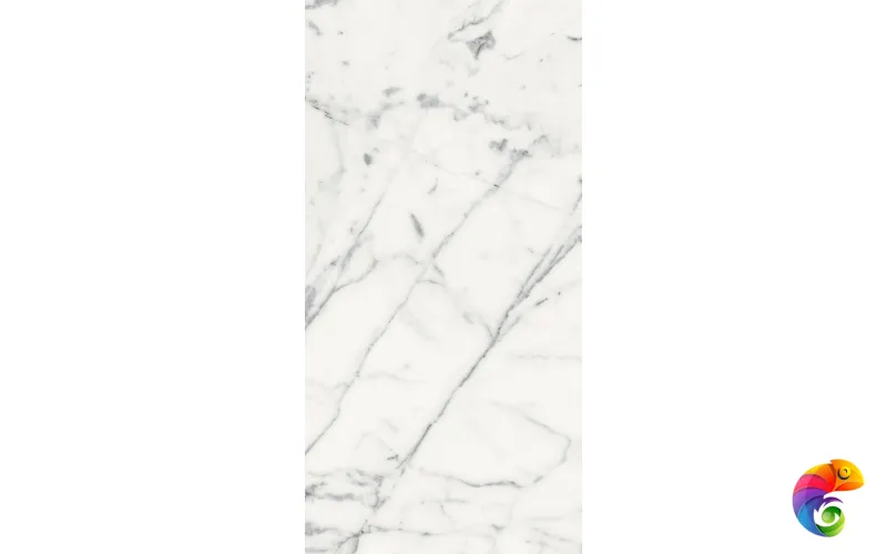 Керамогранит LES ORIGINES DE REX BLANC GLOSSY 60X120