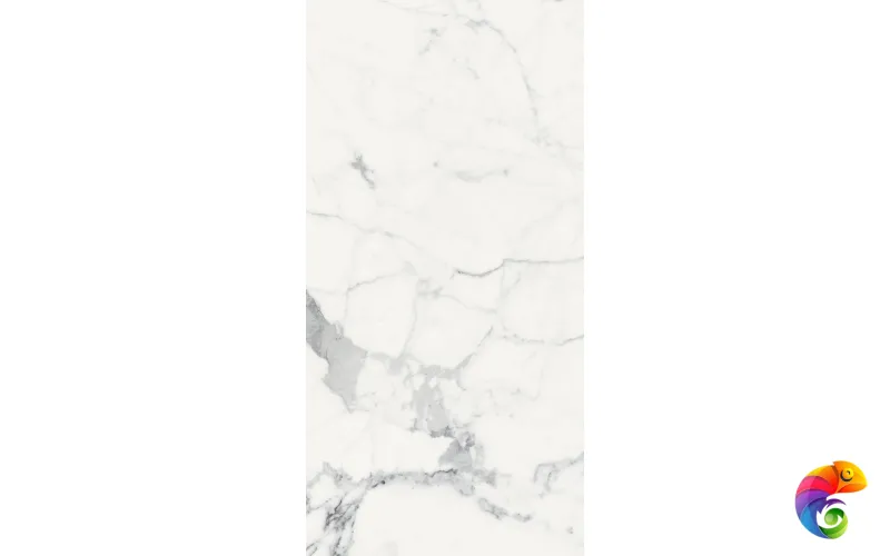 Керамогранит LES ORIGINES DE REX BLANC GLOSSY 60X120