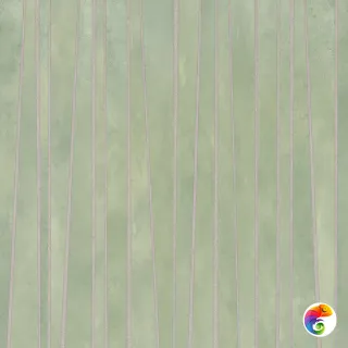 ALTEREGO 14OI STICK.SAGE NAT R 60X60