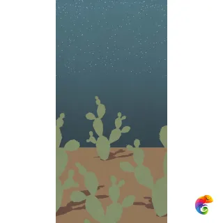 W&S D ARIZONA C 120x240