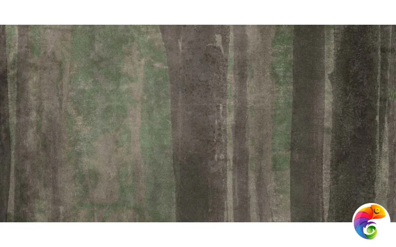 W&S D+ CP4 WOODS A   120X240