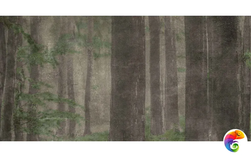 W&S D+ CP4 WOODS A   120X240