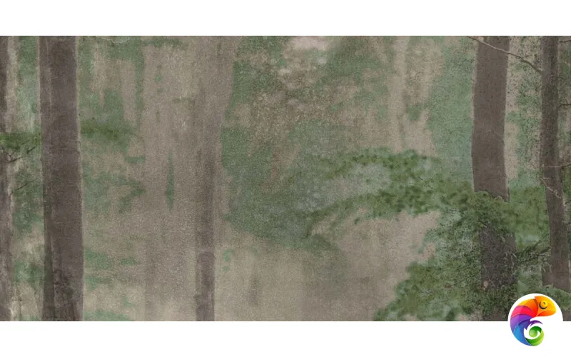 W&S D+ CP4 WOODS B  120X240