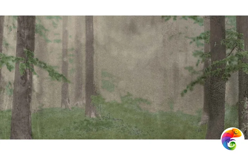 W&S D+ CP4 WOODS B  120X240