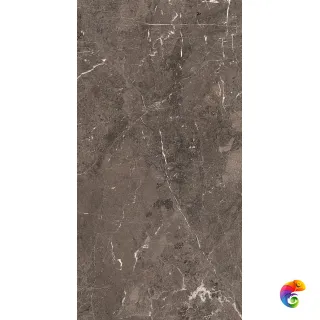 HERITAGE LUXE BROWN GLOSS.9MM 60X120 RET