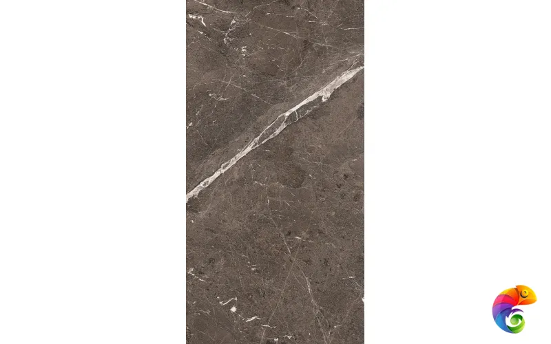 HERITAGE LUXE BROWN GLOSS.9MM 60X120 RET