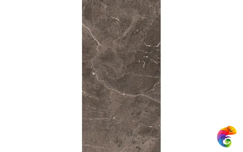 HERITAGE LUXE BROWN GLOSS.9MM 60X120 RET