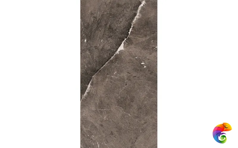 HERITAGE LUXE BROWN GLOSS.9MM 60X120 RET