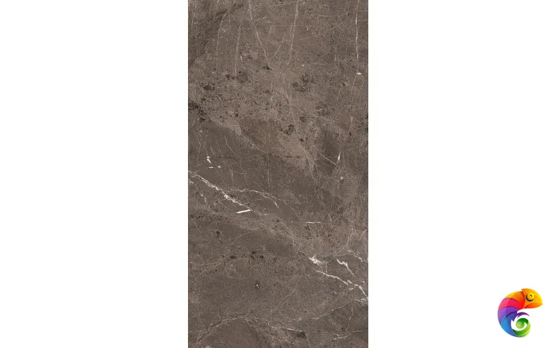 HERITAGE LUXE BROWN GLOSS.9MM 60X120 RET