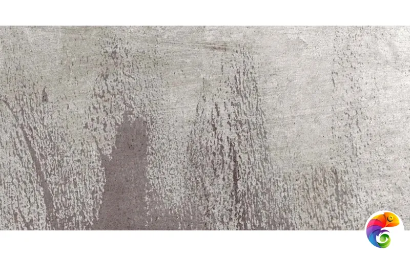 W&S D CP4 BOTANICAL GREY B