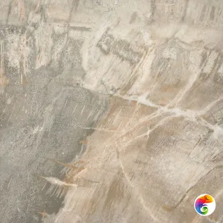 FOSSIL BEIGE NAT 50x50