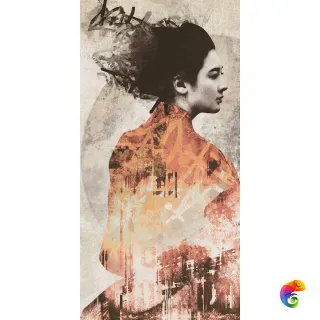 Декор DEC.COVER GEISHA  60X120