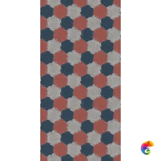 W&S D+ EXA BROWN  120x240