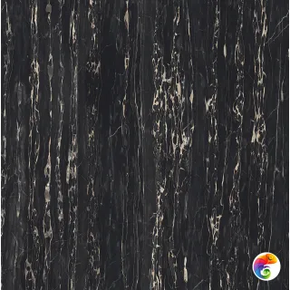 I CLASSICI PORTORO 6MM GLOSSY 120X120R