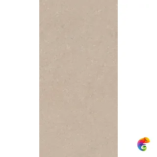 AUTHENTIC STONE CHABLIS LEATHER MATTE 60x120 RET