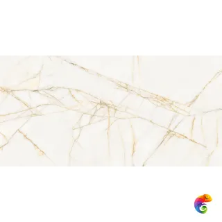 SUPREME HEDONISM GOLD SPID. NAT R 60x120