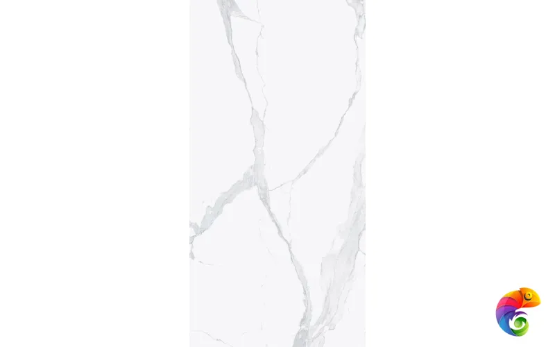 I CLASSICI STATUARIO 6MM GLOSSY 60X120 RET