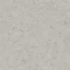 DD605820R Чеппо ди Гре серый светлый матовый обрезной 60x60x0,9