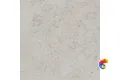 DD641020R Про Лаймстоун серый светлый натуральный обрезной 60x60x0,9
