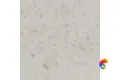 DD641020R Про Лаймстоун серый светлый натуральный обрезной 60x60x0,9