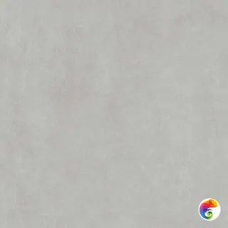 DD841190R Про Догана серый светлый матовый обрезной 80x80x0,9