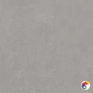 DD640220R Про Фьюче серый обрезной 60x60x0,9