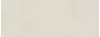 SG072100R6 Beton Bianco 119,5x320х6