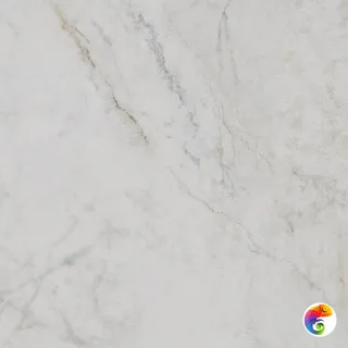 SG654022R Серенада белый лаппатированный обрезной 60x60x0,9