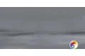 DL500520R/GCF Ступень клееная Роверелла серый 33x119,5x0,9
