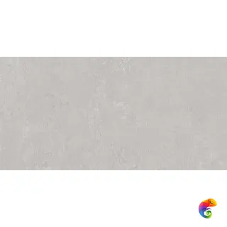 DD203120R Про Фьюче серый светлый обрезной 30x60x0,9