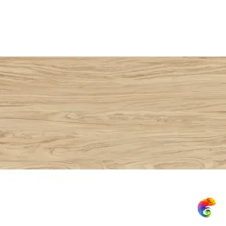 SG565220R Олива бежевый обрезной 60x119,5x0,9
