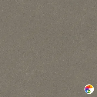 DD642522R Джиминьяно коричневый лаппатированный обрезной 60х60x0,9