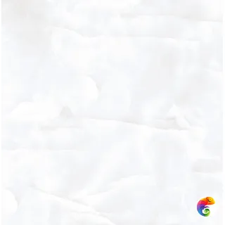 Realistik Coin White Glossy 60x60
