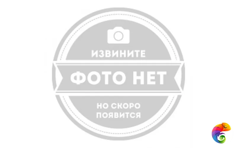 FLOWERS SUN MIX 20x60