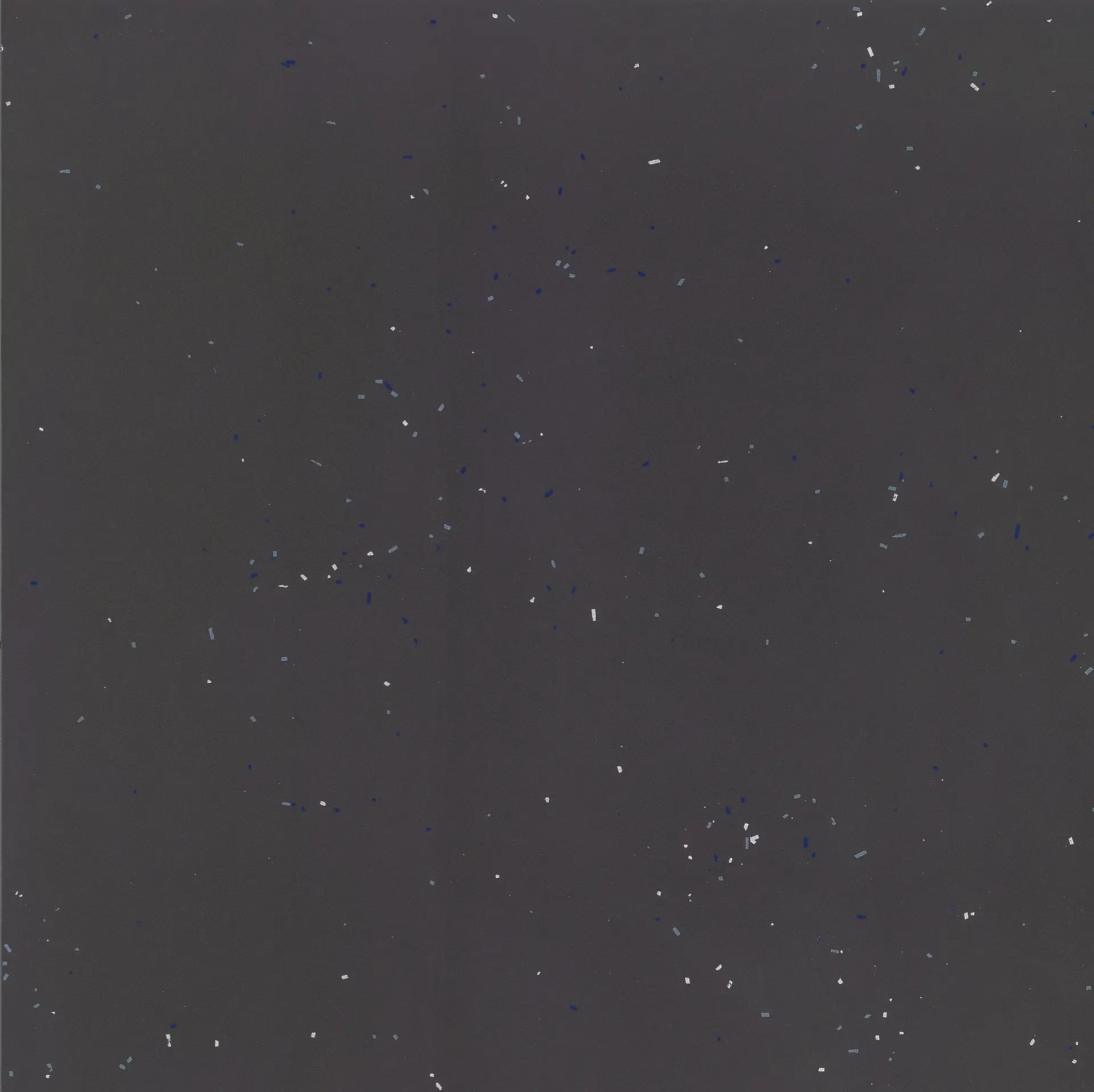 Керамогранит Mutina Primavera Nero 60x60
